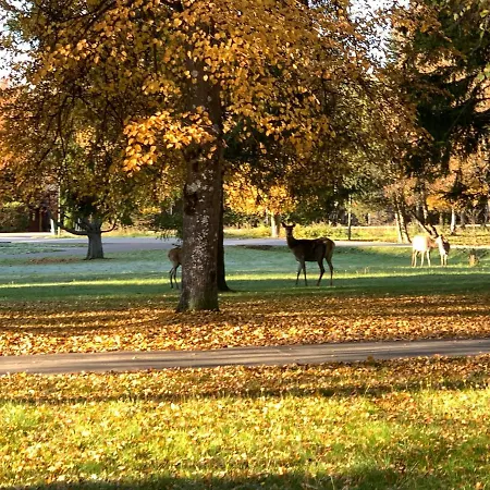 Stefanik By Zazi טטרנסקה לומניקה