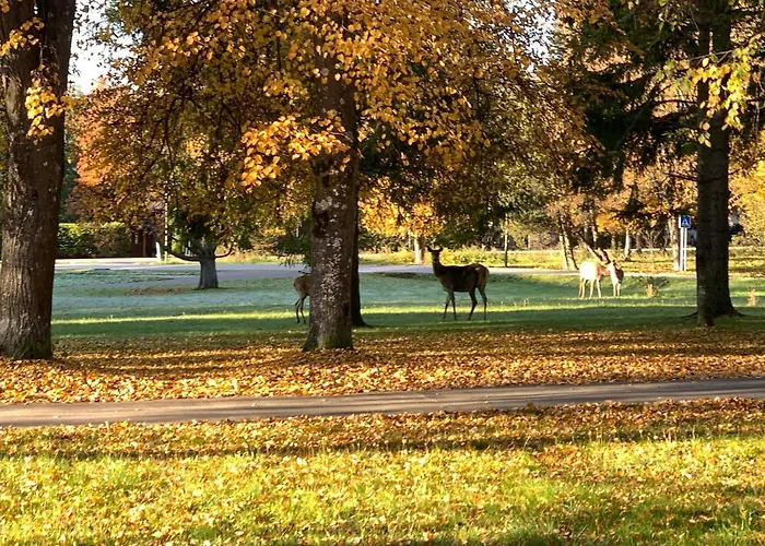 štefánik By Zaži Tatranská Lomnica